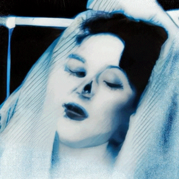 “When she wants a garden, you give her a rose”