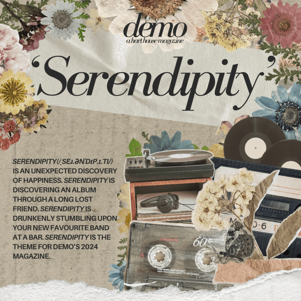 A Note on&nbsp;Serendipity