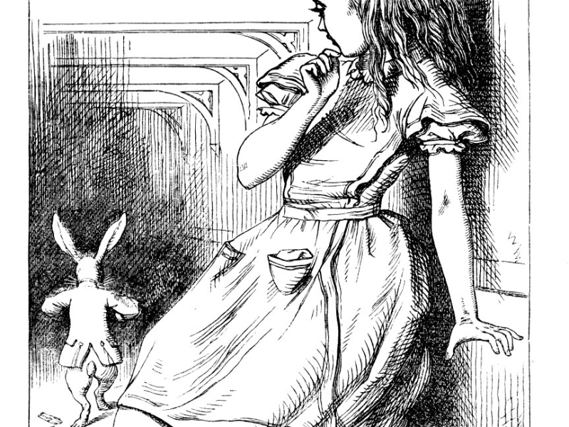 Down the Rabbit Hole: A&nbsp;Playlist