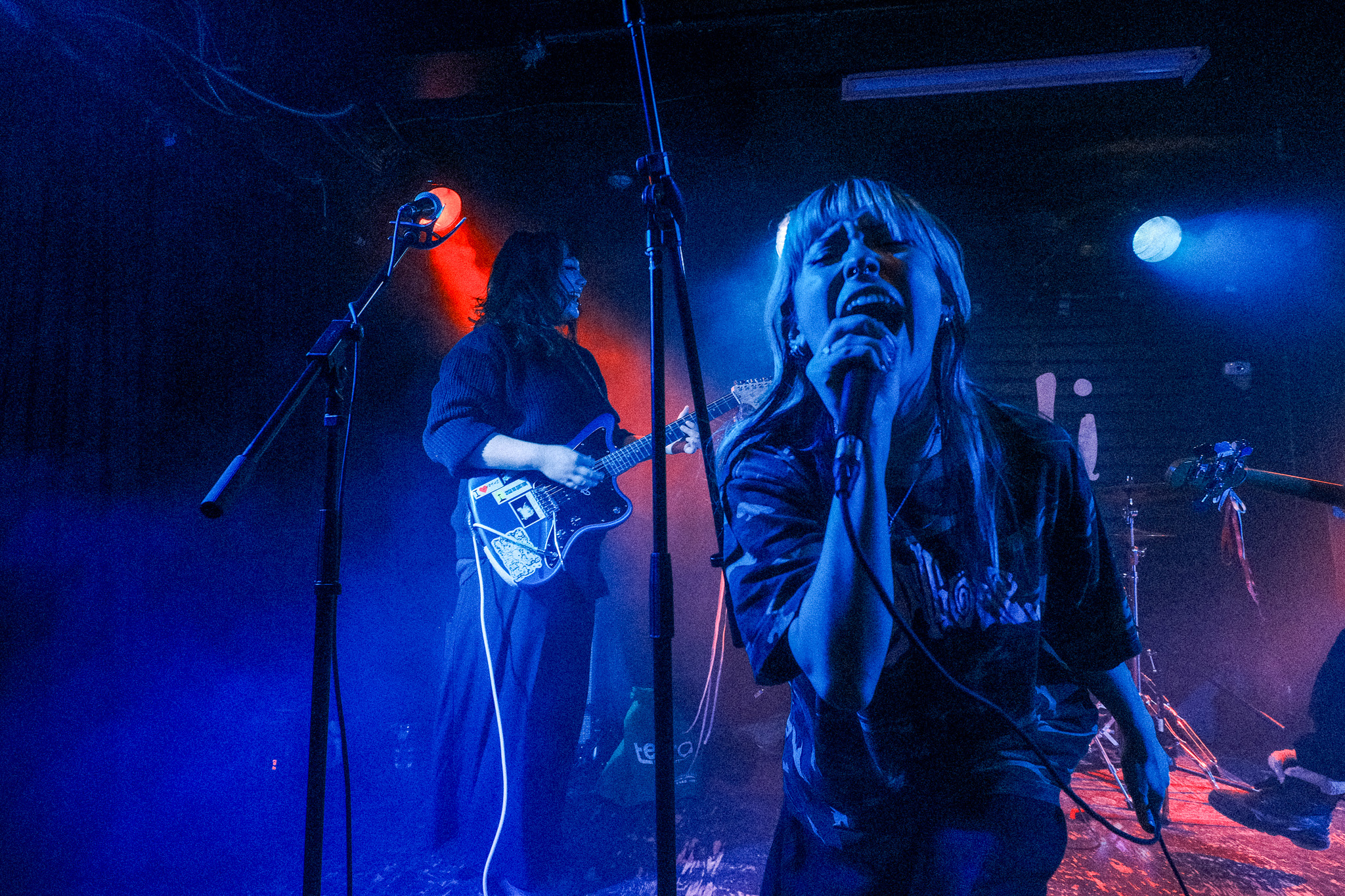 Monstrosa, Wiener Kebab, Connie, and Dear Evangeline @ The Rivoli: Shot By Ronan Mitchell