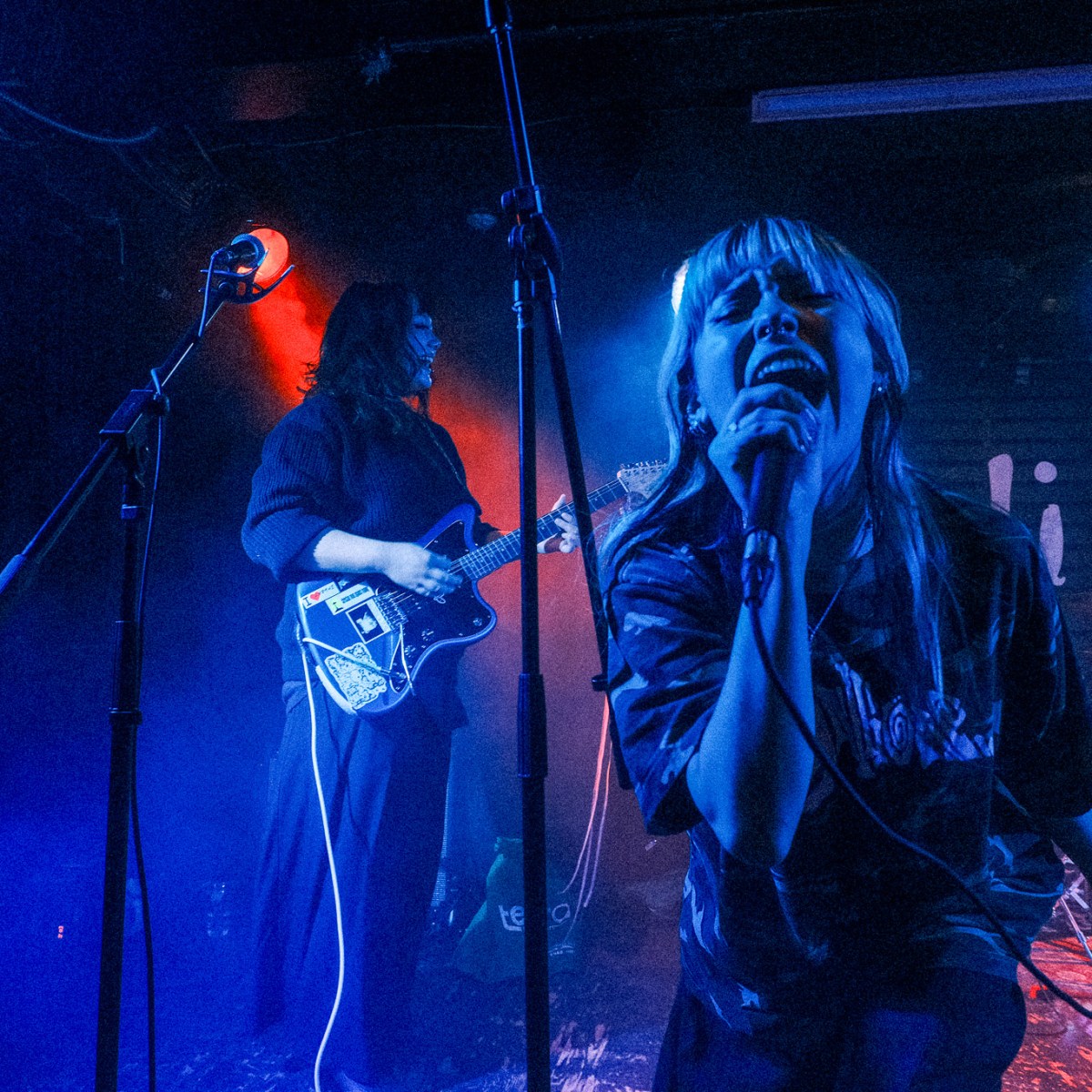 Monstrosa, Wiener Kebab, Connie, and Dear Evangeline @ The Rivoli: Shot By Ronan&nbsp;Mitchell