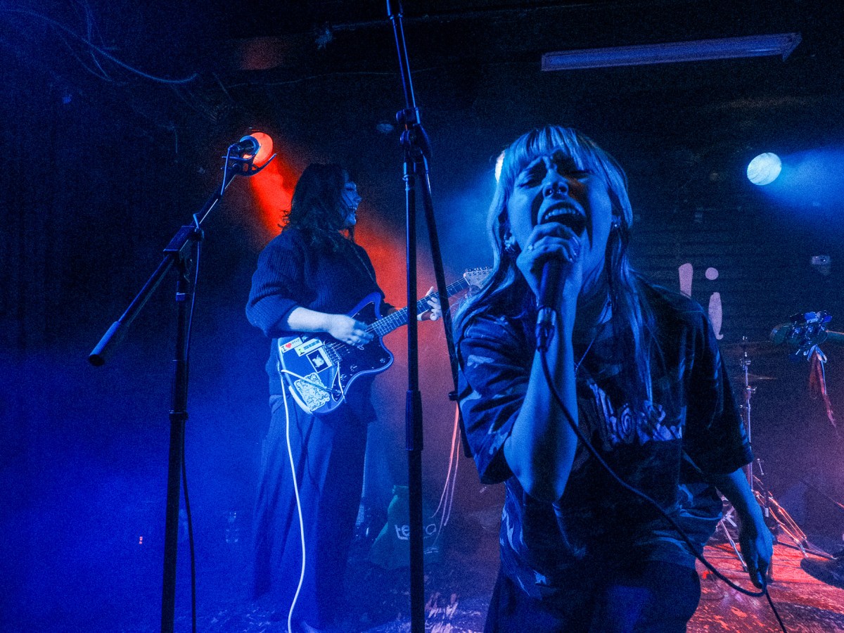 Monstrosa, Wiener Kebab, Connie, and Dear Evangeline @ The Rivoli: Shot By Ronan&nbsp;Mitchell