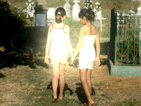 Blosum Blooms on&nbsp;Amaryllis