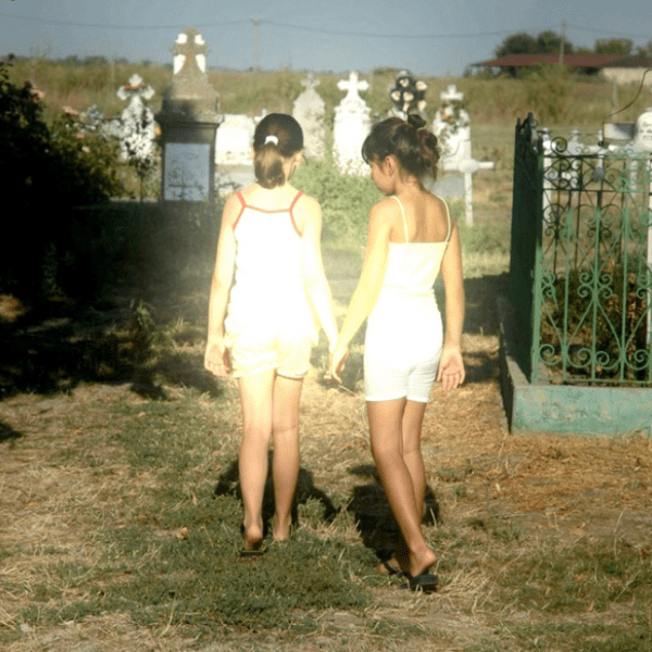 Blosum Blooms on&nbsp;Amaryllis