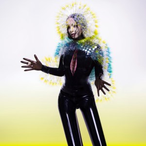 Album art for Vulnicura