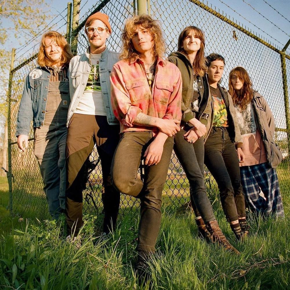 A Love Letter To Leash aggression